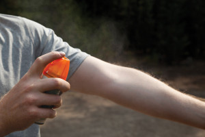 Los trabajadores deben llevar ropa que les cubra manos, brazos, piernas y otra piel expuesta.